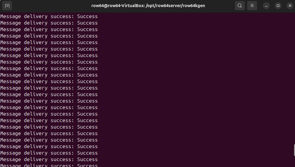 A computer screen displays a long line of successes.