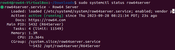 A computer screen displays a command line with a message about a server.
