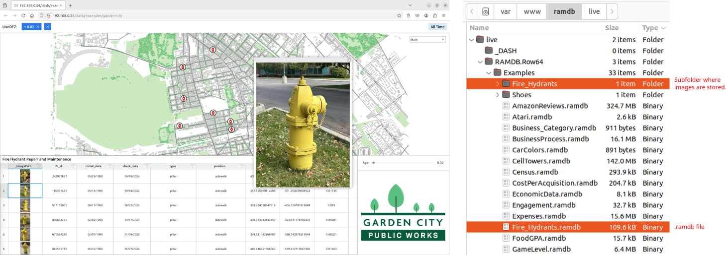 A yellow fire hydrant is located in a grassy area.