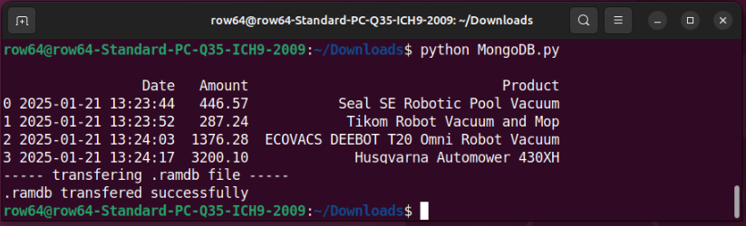 A computer screen displays a list of downloads.