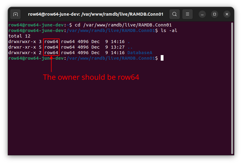 A computer screen displays a program with the words the owner should be row 64 written in red.